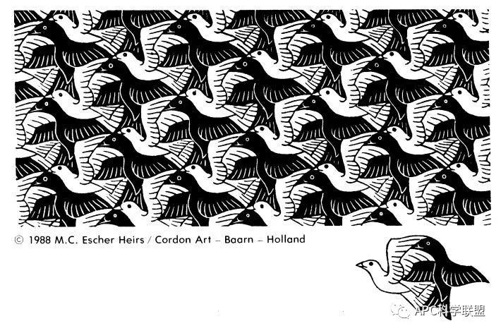 The Mathematician's Beauty—Penrose Tilings