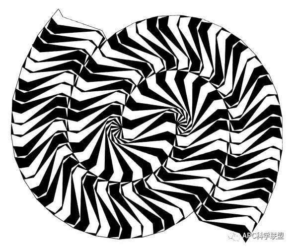 One of Voderberg's spiral tilings One of Voderberg's spiral tilings