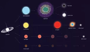 The evolution of a star | Source: ESA