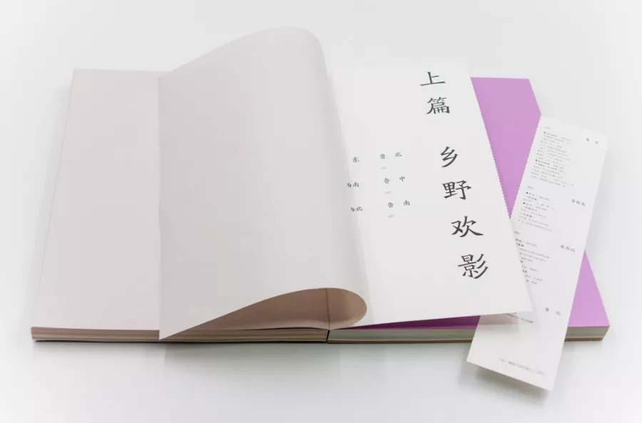 cover of next post
