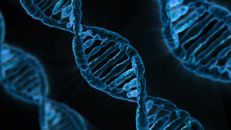 The Degeneracy of the Genetic Code